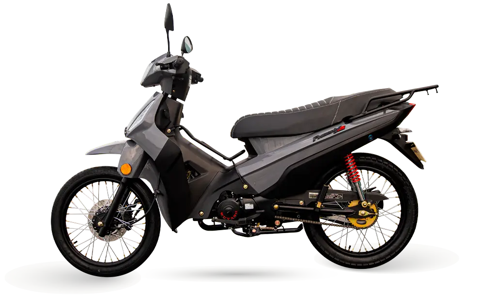 PHOENIX S - Imagem 4