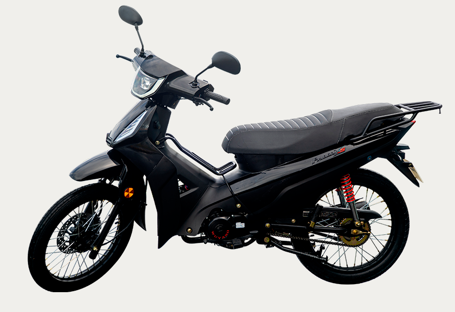 PHOENIX S - Imagem 2