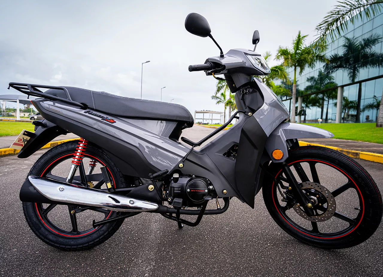 PHOENIX S EFI - Imagem 2